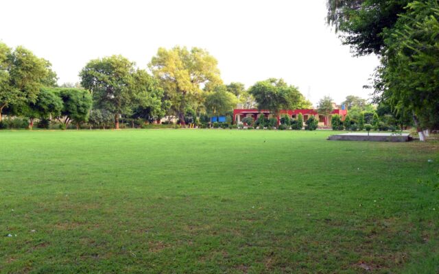 WhatsApp Image 2025-08-19 at 6.26.53 PM (2)