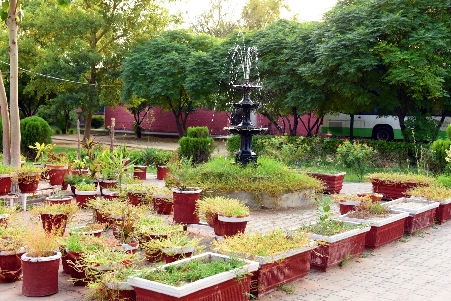 WhatsApp Image 2025-08-19 at 6.26.56 PM