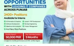 CM Internship Program