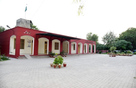 WhatsApp Image 2025-08-19 at 6.26.46 PM (1)